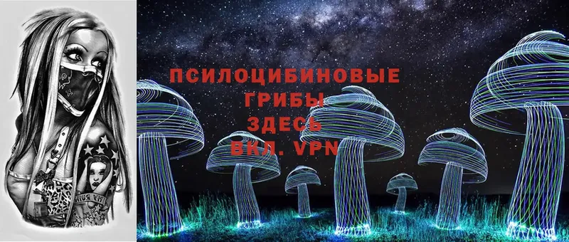 Галлюциногенные грибы Magic Shrooms  дарнет шоп  Энгельс 